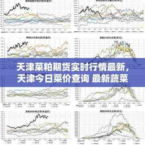天津菜粕期货实时行情最新，天津今日菜价查询 最新蔬菜价格行情 