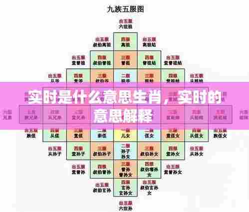 实时是什么意思生肖,实时的意思解释