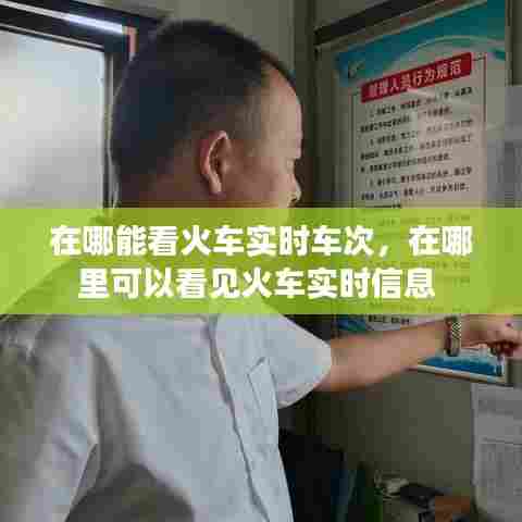 在哪能看火车实时车次,在哪里可以看见火车实时信息