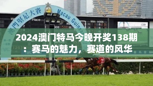 2024澳门特马今晚开奖138期:赛马的魅力,赛道的风华