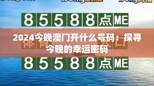 2024今晚澳门开什么号码:探寻今晚的幸运密码