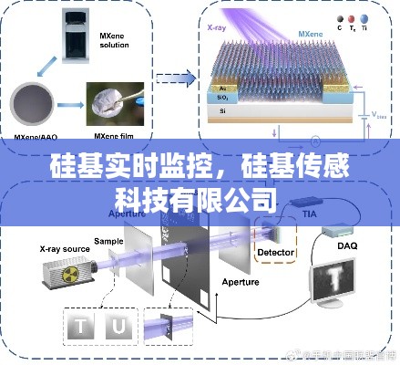 硅基实时监控,硅基传感科技有限公司