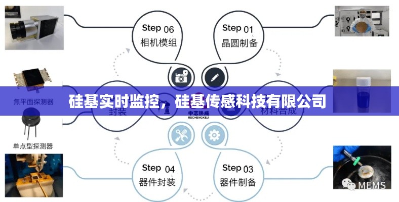 硅基实时监控,硅基传感科技有限公司