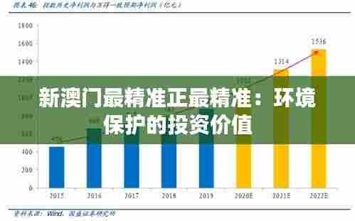 新澳门最精准正最精准:环境保护的投资价值