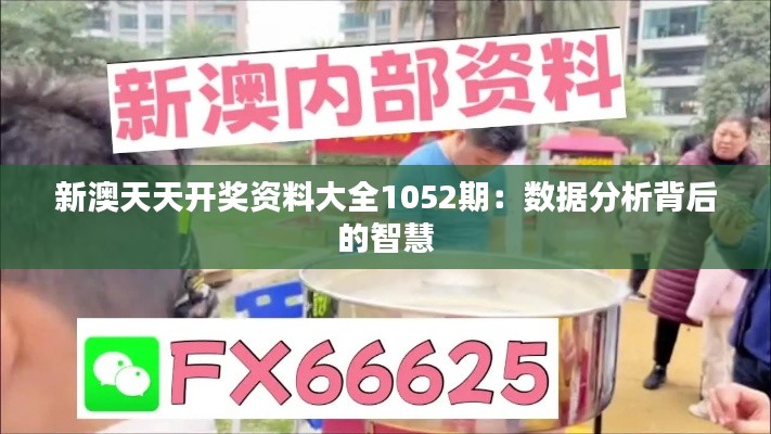 新澳天天开奖资料大全1052期：数据分析背后的智慧