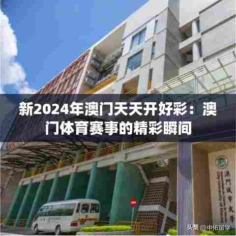 新2024年澳门天天开好彩：澳门体育赛事的精彩瞬间