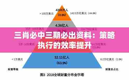 三肖必中三期必出资料:策略执行的效率提升