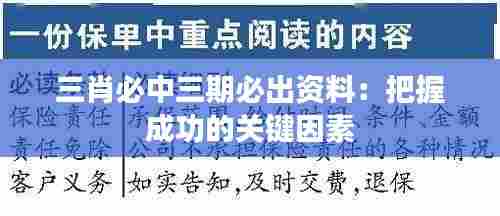 三肖必中三期必出资料:把握成功的关键因素