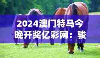 2024澳门特马今晚开奖亿彩网:骏马奔腾,澳门夜未央
