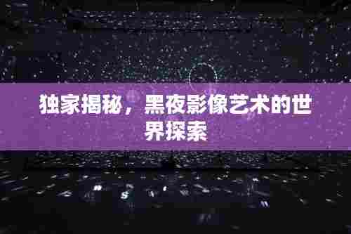 独家揭秘,黑夜影像艺术的世界探索