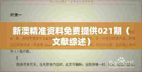 新澳精准资料免费提供021期（文献综述）