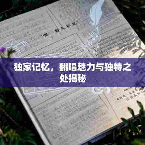 独家记忆，翻唱魅力与独特之处揭秘