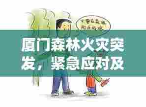 厦门森林火灾突发，紧急应对及深刻反思