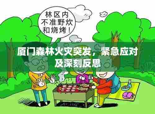 厦门森林火灾突发,紧急应对及深刻反思