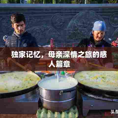 独家记忆,母亲深情之旅的感人篇章
