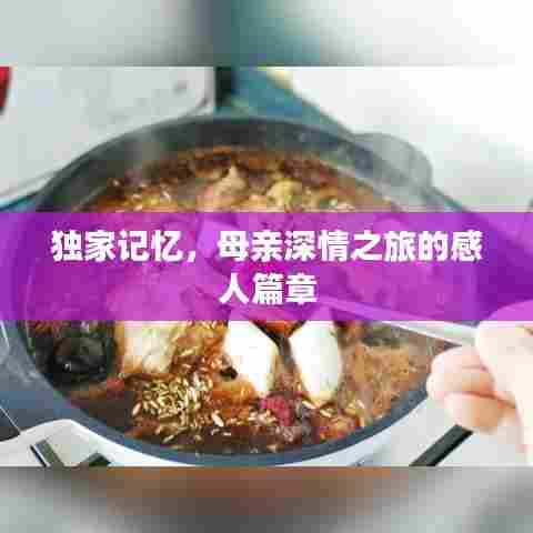 独家记忆,母亲深情之旅的感人篇章