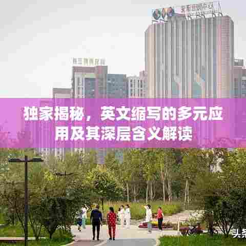独家揭秘,英文缩写的多元应用及其深层含义解读
