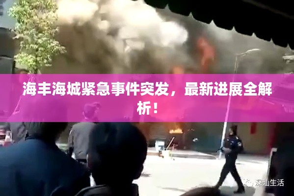 海丰海城紧急事件突发，最新进展全解析！