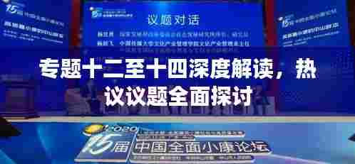 专题十二至十四深度解读,热议议题全面探讨