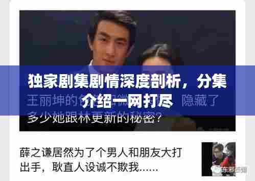 独家剧集剧情深度剖析,分集介绍一网打尽