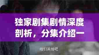 独家剧集剧情深度剖析,分集介绍一网打尽