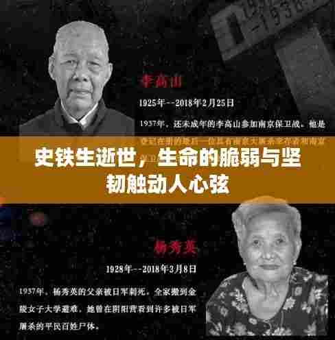 史铁生逝世，生命的脆弱与坚韧触动人心弦