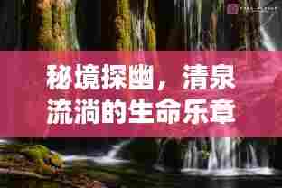 秘境探幽，清泉流淌的生命乐章