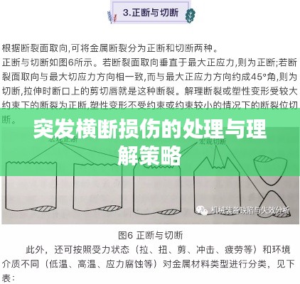 突发横断损伤的处理与理解策略