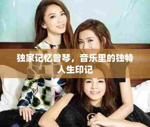 独家记忆曾琴,音乐里的独特人生印记