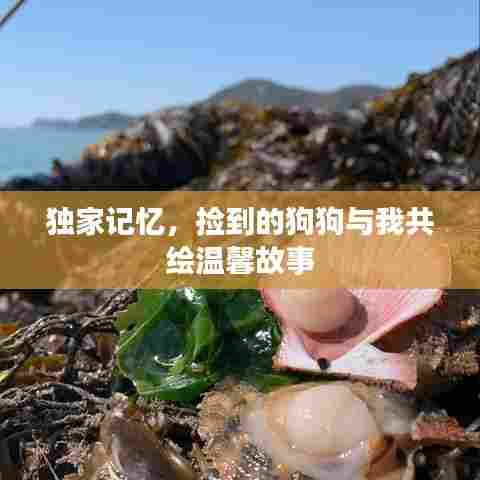 攀高结贵 第7页