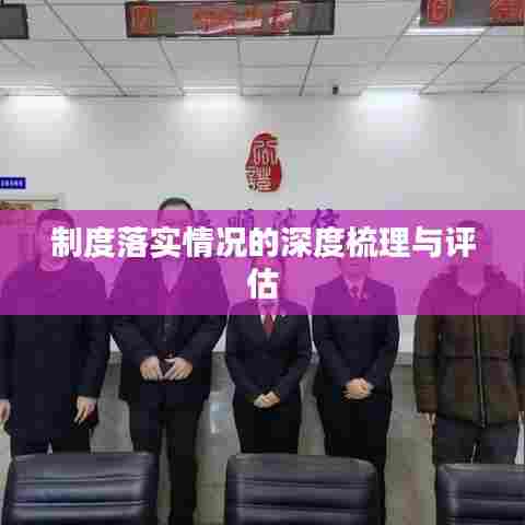 制度落实情况的深度梳理与评估