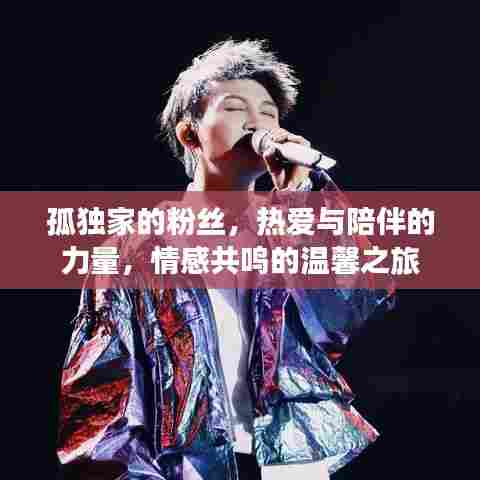 孤独家的粉丝,热爱与陪伴的力量,情感共鸣的温馨之旅