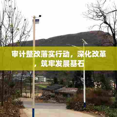 审计整改落实行动,深化改革,筑牢发展基石