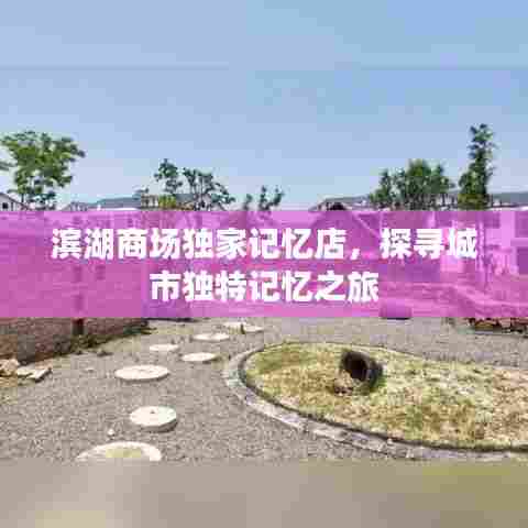 滨湖商场独家记忆店,探寻城市独特记忆之旅