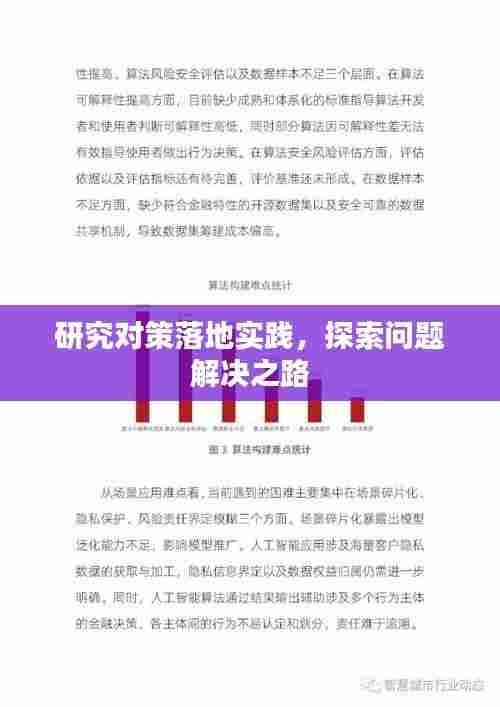 研究对策落地实践，探索问题解决之路