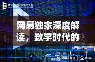 网易独家深度解读,数字时代的革新与突破之道