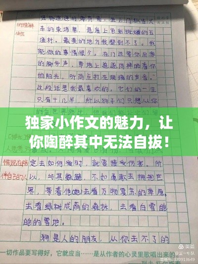 独家小作文的魅力,让你陶醉其中无法自拔!