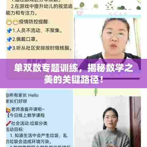 单双数专题训练,揭秘数学之美的关键路径!