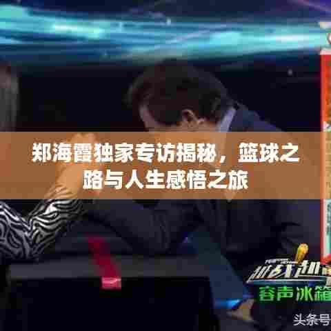 郑海霞独家专访揭秘,篮球之路与人生感悟之旅