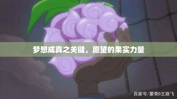 梦想成真之关键,愿望的果实力量