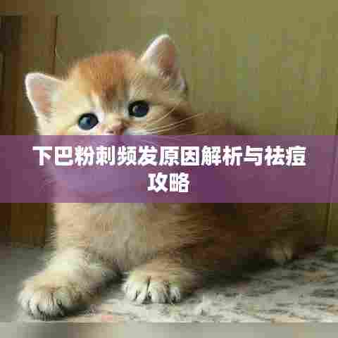 下巴粉刺频发原因解析与祛痘攻略