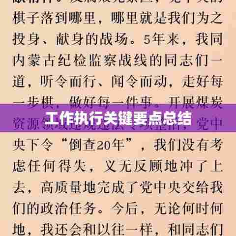 工作执行关键要点总结