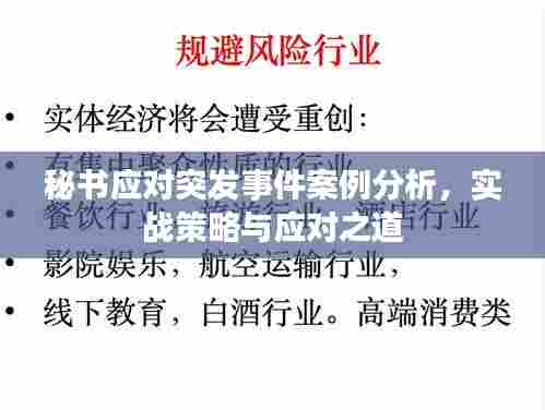 秘书应对突发事件案例分析，实战策略与应对之道