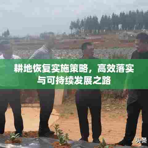 耕地恢复实施策略,高效落实与可持续发展之路