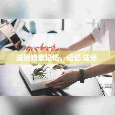 法语独家记忆，记忆 法语 