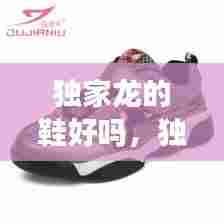 独家龙的鞋好吗，独家龙是个大品牌吗 