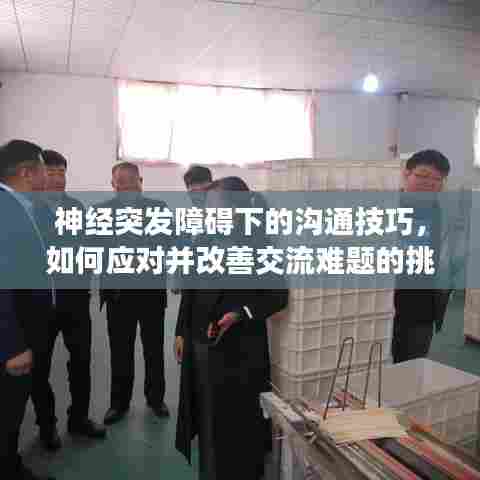 神经突发障碍下的沟通技巧,如何应对并改善交流难题的挑战