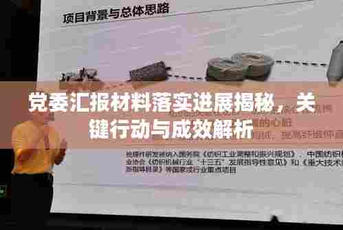 党委汇报材料落实进展揭秘,关键行动与成效解析