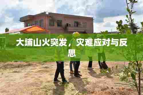 大埔山火突发，灾难应对与反思
