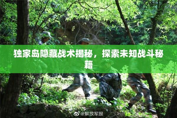 独家岛隐藏战术揭秘,探索未知战斗秘籍